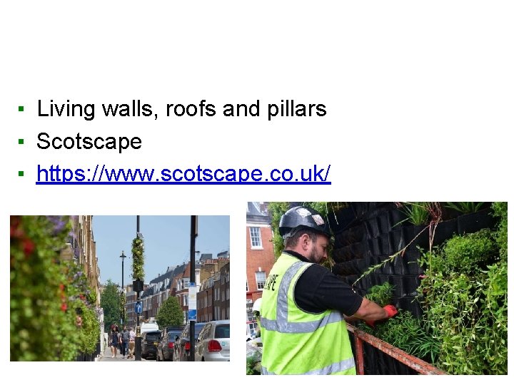 ▪ ▪ ▪ Living walls, roofs and pillars Scotscape https: //www. scotscape. co. uk/