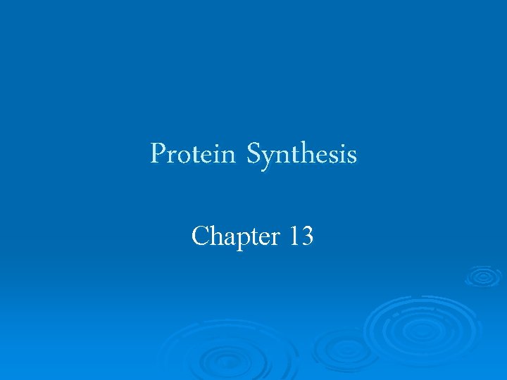 Protein Synthesis Chapter 13 