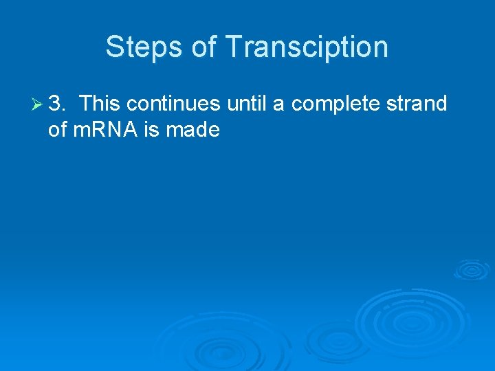 Steps of Transciption Ø 3. This continues until a complete strand of m. RNA