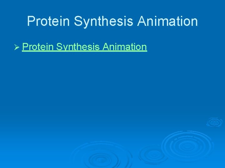 Protein Synthesis Animation Ø Protein Synthesis Animation 