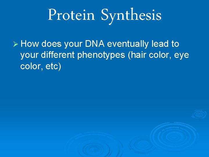 Protein Synthesis Ø How does your DNA eventually lead to your different phenotypes (hair