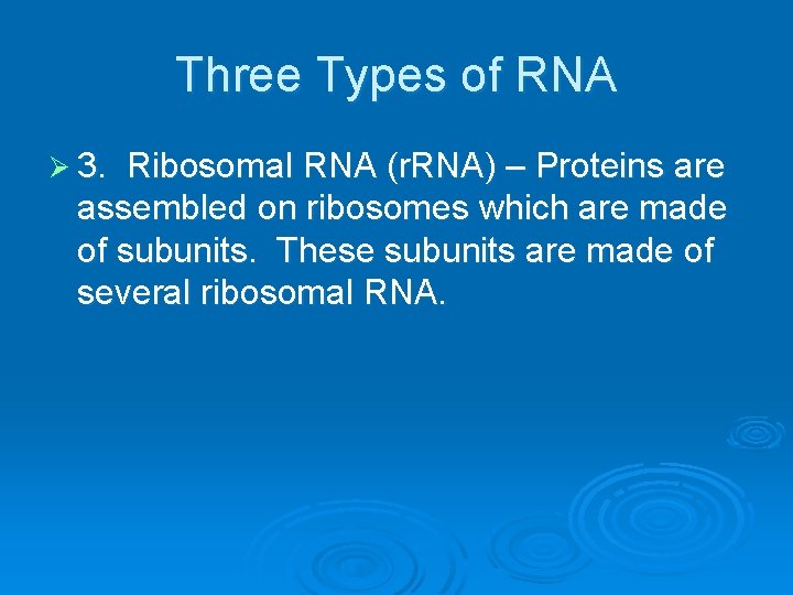 Three Types of RNA Ø 3. Ribosomal RNA (r. RNA) – Proteins are assembled