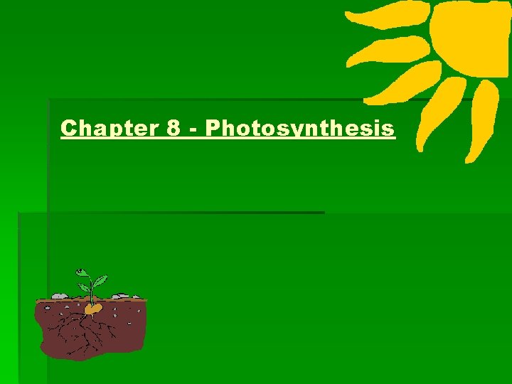 Chapter 8 - Photosynthesis 