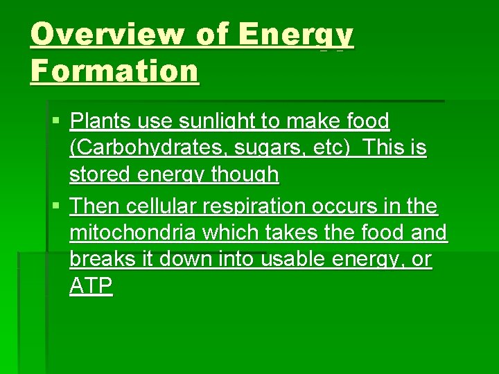 Overview of Energy Formation § Plants use sunlight to make food (Carbohydrates, sugars, etc)