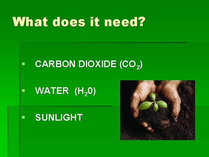 What does it need? § CARBON DIOXIDE (CO 2) § WATER (H 20) §