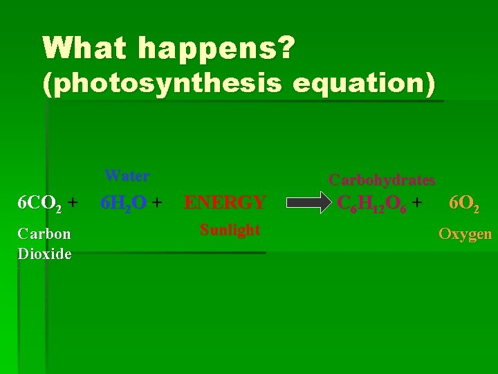 What happens? (photosynthesis equation) Water 6 CO 2 + Carbon Dioxide 6 H 2