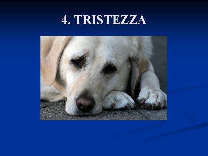 4. TRISTEZZA 