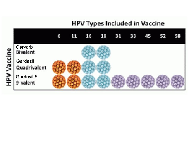 Cervarix Gardasil-9 