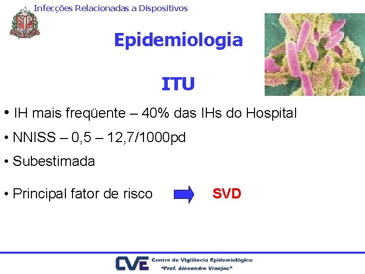 Infecções Relacionadas a Dispositivos Epidemiologia ITU • IH mais freqüente – 40% das IHs