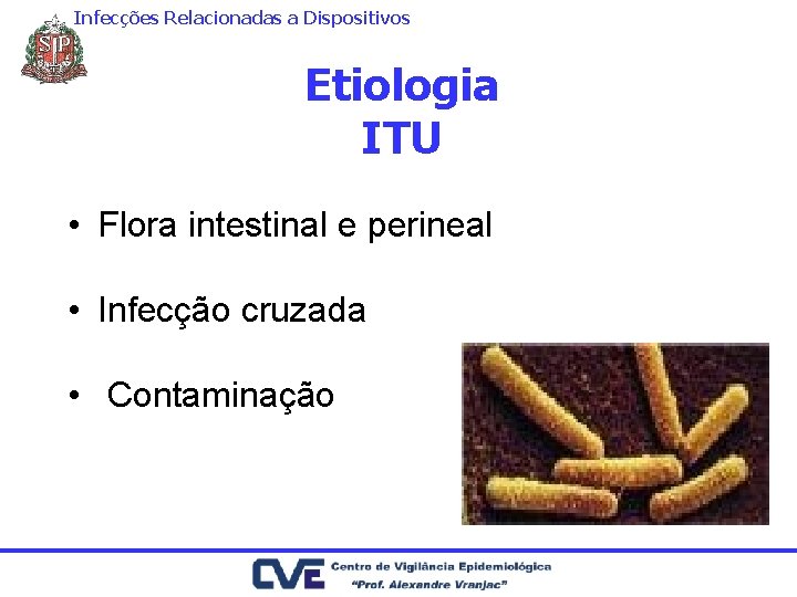 Infecções Relacionadas a Dispositivos Etiologia ITU • Flora intestinal e perineal • Infecção cruzada