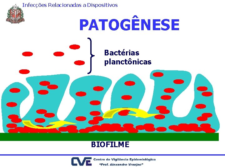 Infecções Relacionadas a Dispositivos PATOGÊNESE Bactérias planctônicas BIOFILME 