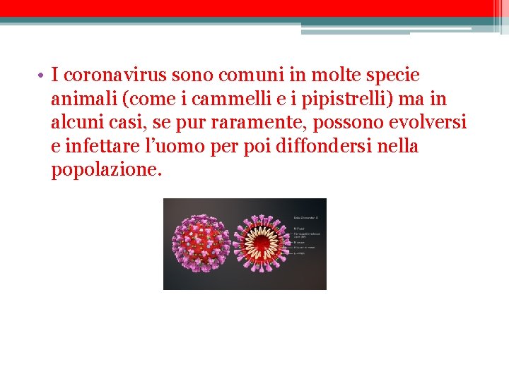  • I coronavirus sono comuni in molte specie animali (come i cammelli e