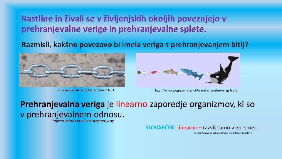 Rastline in živali se v življenjskih okoljih povezujejo v prehranjevalne verige in prehranjevalne splete.