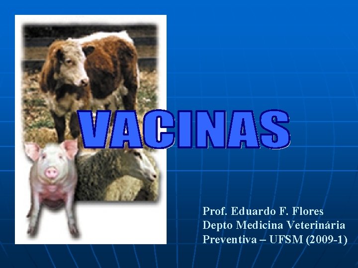 Prof. Eduardo F. Flores Depto Medicina Veterinária Preventiva – UFSM (2009 -1) 