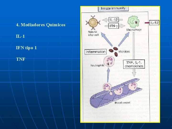 VACINAS 4. Mediadores Químicos IL-1 IFN tipo 1 TNF 