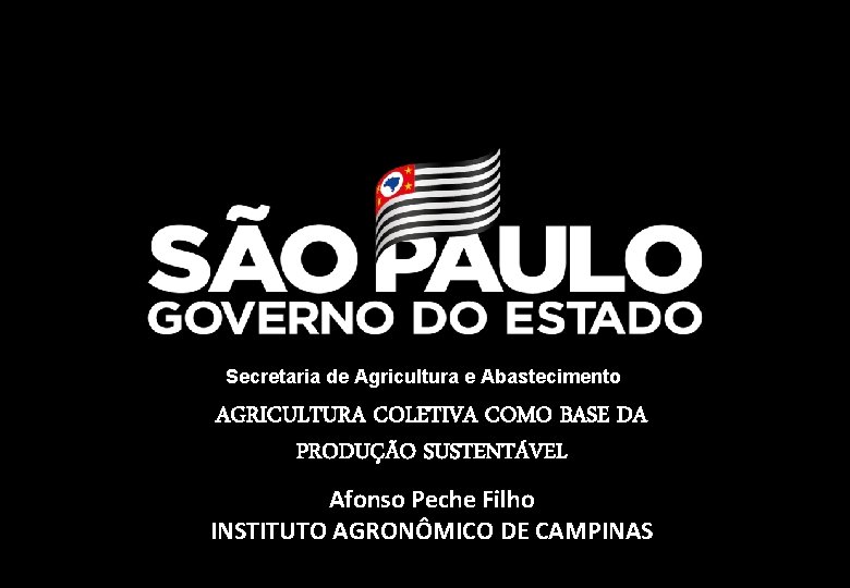 Secretaria de Agricultura e Abastecimento AGRICULTURA COLETIVA COMO BASE DA PRODUÇÃO SUSTENTÁVEL Afonso Peche