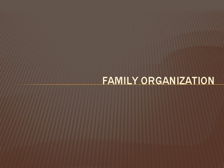 FAMILY ORGANIZATION 