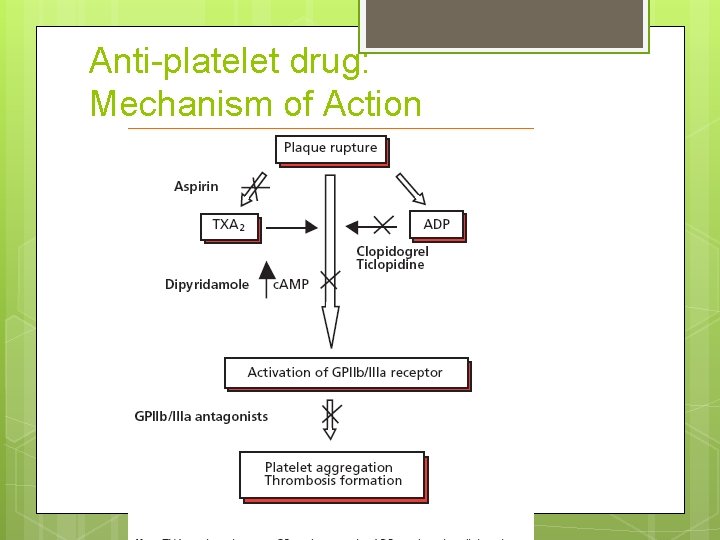 Anti-platelet drug: Mechanism of Action Anti-platelet drug: Mechanism of Action
