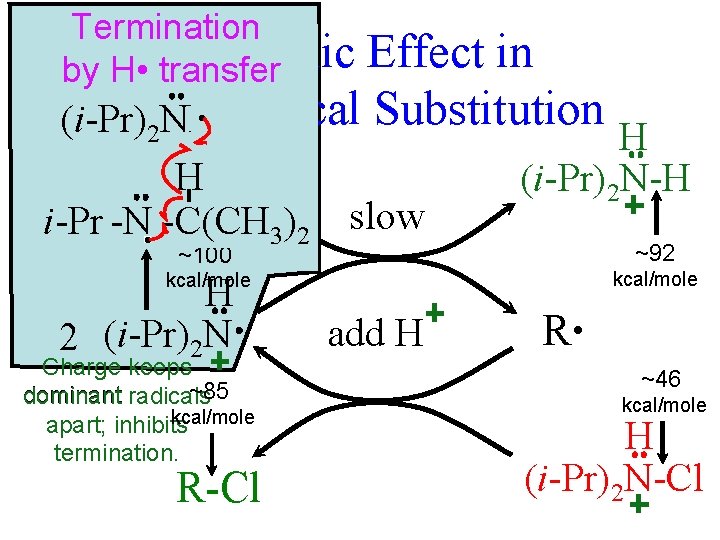 Termination An Ionic by H • transfer Effect in Free-Radical Substitution • (i-Pr) NH