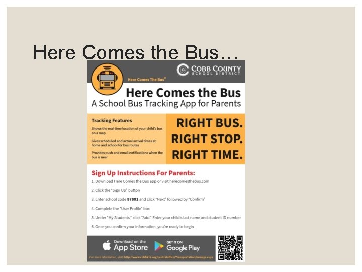 Here Comes the Bus… 