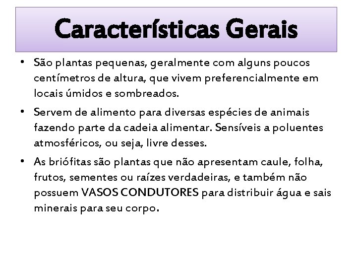 Características Gerais • São plantas pequenas, geralmente com alguns poucos centímetros de altura, que