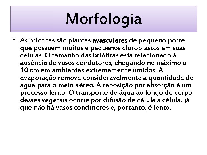 Morfologia • As briófitas são plantas avasculares de pequeno porte que possuem muitos e