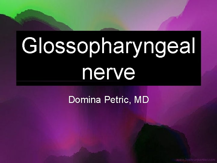 Glossopharyngeal nerve Domina Petric, MD 