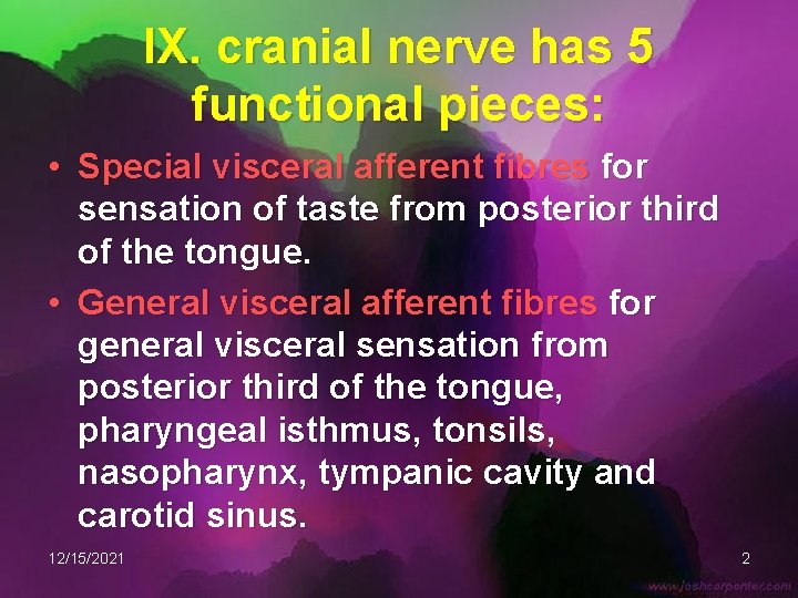 IX. cranial nerve has 5 functional pieces: • Special visceral afferent fibres for sensation