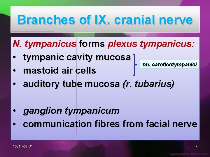 Branches of IX. cranial nerve N. tympanicus forms plexus tympanicus: • tympanic cavity mucosa
