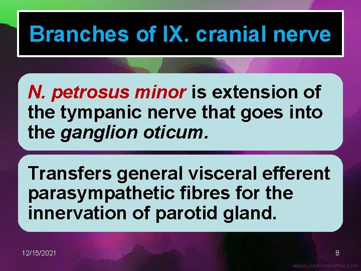Branches of IX. cranial nerve N. petrosus minor is extension of the tympanic nerve