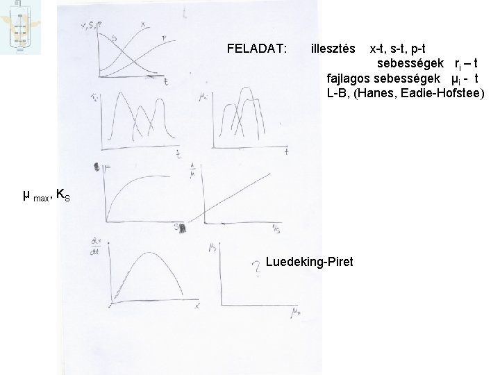 Hogyan határozzuk meg a modellek állandóit FELADAT: illesztés x-t, s-t, p-t sebességek ri –