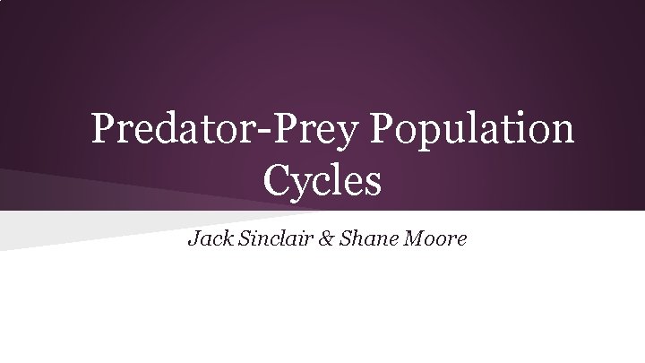 Predator-Prey Population Cycles Jack Sinclair & Shane Moore 