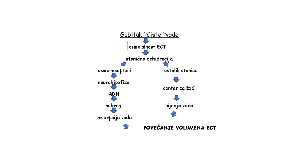 Gubitak “čiste “vode osmolalnost ECT stanična dehidracija osmoreceptori neurohipofiza ADH bubreg ostalih stanica centar