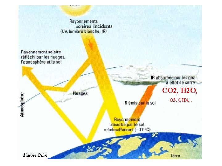 CO 2, H 2 O, O 3, CH 4… 