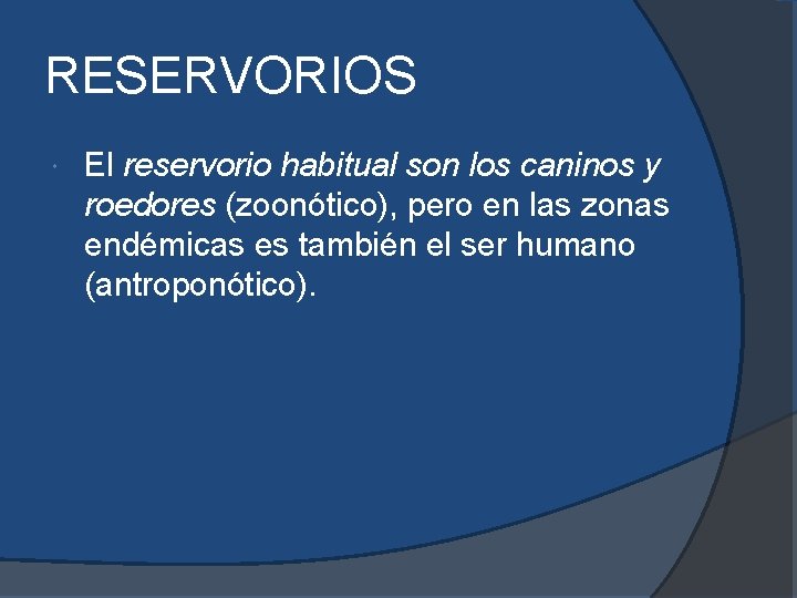 RESERVORIOS El reservorio habitual son los caninos y roedores (zoonótico), pero en las zonas RESERVORIOS El reservorio habitual son los caninos y roedores (zoonótico), pero en las zonas