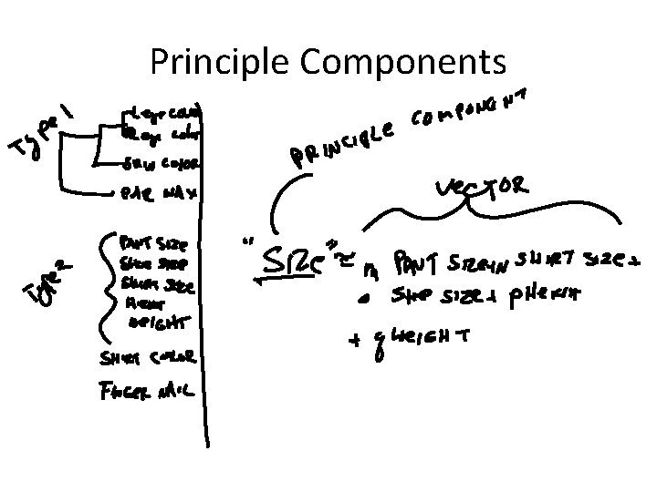 Principle Components 