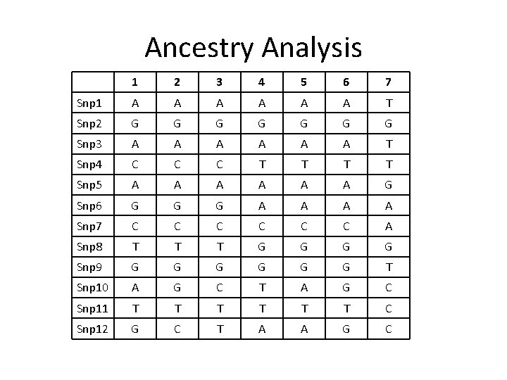 Ancestry Analysis 1 2 3 4 5 6 7 Snp 1 A A A