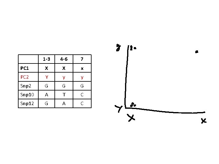 1 -3 4 -6 7 PC 1 X X x PC 2 Y y