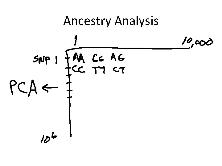 Ancestry Analysis 