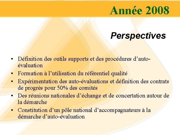 Année 2008 Perspectives • Définition des outils supports et des procédures d’autoévaluation • Formation