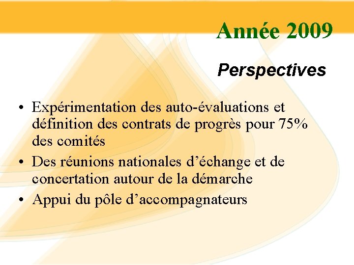 Année 2009 Perspectives • Expérimentation des auto-évaluations et définition des contrats de progrès pour