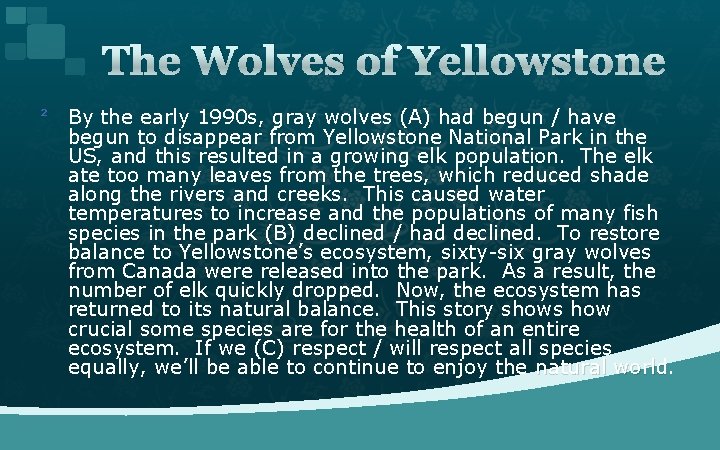 The Wolves of Yellowstone ² By the early 1990 s, gray wolves (A) had