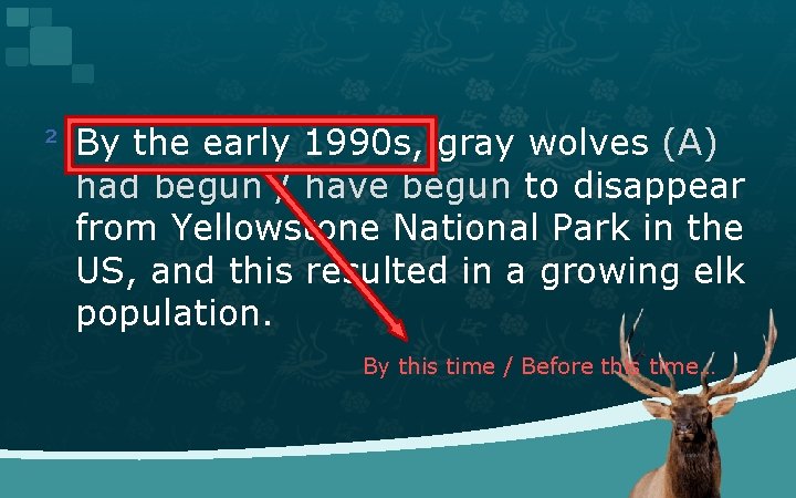 ² By the early 1990 s, gray wolves (A) had begun / have begun