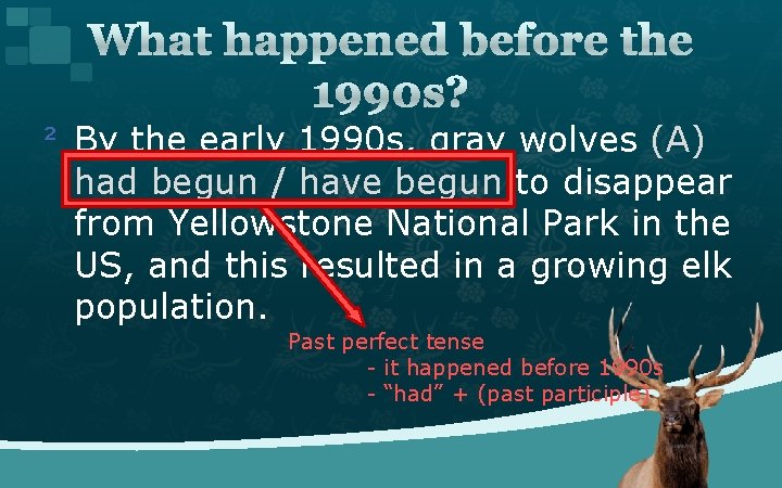 What happened before the 1990 s? ² By the early 1990 s, gray wolves