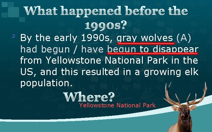 What happened before the 1990 s? ² By the early 1990 s, gray wolves