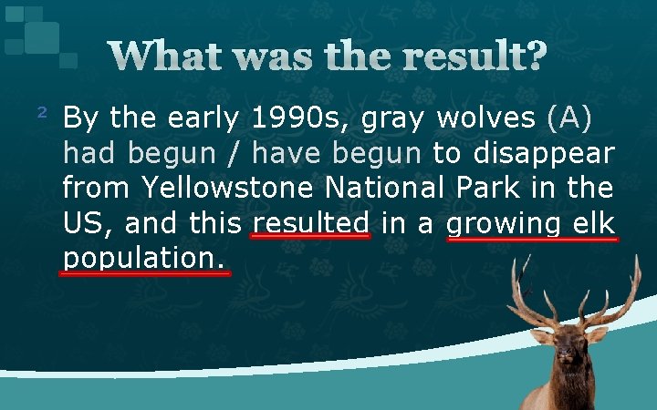 What was the result? ² By the early 1990 s, gray wolves (A) had