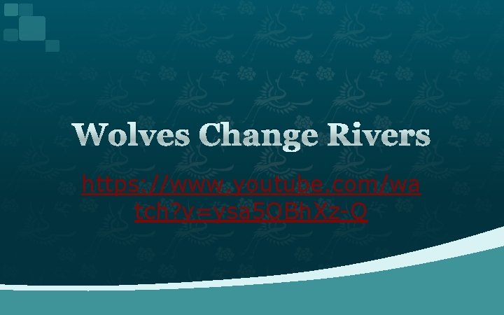 Wolves Change Rivers https: //www. youtube. com/wa tch? v=ysa 5 OBh. Xz-Q 