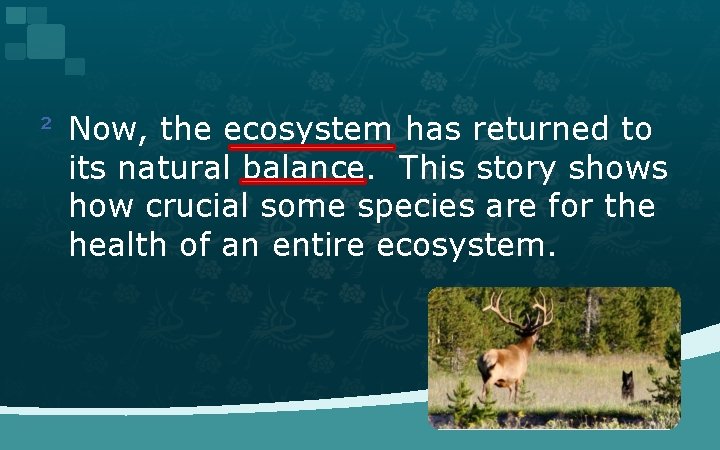 ² Now, the ecosystem has returned to its natural balance. This story shows how