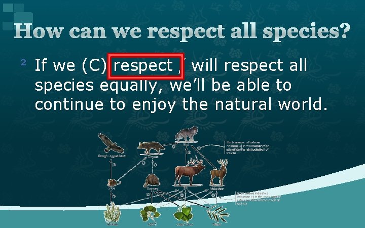 How can we respect all species? ² If we (C) respect / will respect