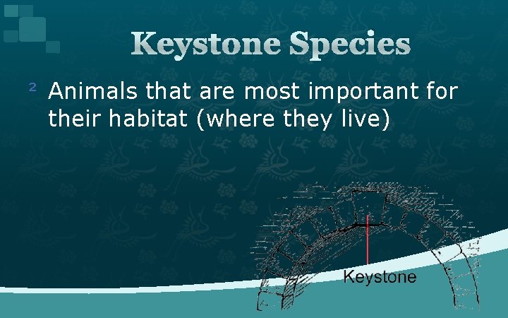 Keystone Species ² Animals that are most important for their habitat (where they live)